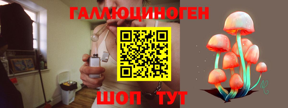 Галлюциногенные грибы Psilocybine cubensis Усть-Илимск