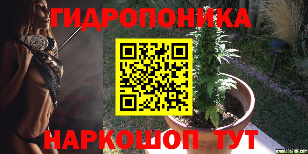 Каннабис OG Kush  Каннабис конопля  Усть-Илимск  Вход с VPN  Каннабис Amnesia 